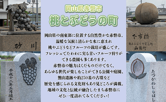 ぶどう 2024年 先行予約 シャイン マスカット 1房 約800g 贈答箱 ブドウ 葡萄 フルーツ 果物 岡山 赤磐市産 農マル園芸 あかいわ農園