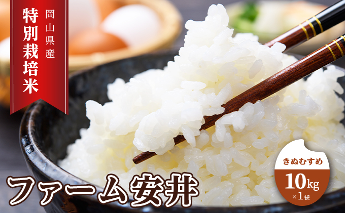 特別栽培米 きぬむすめ 10kg×1袋 米 白米 岡山県産 ファーム安井