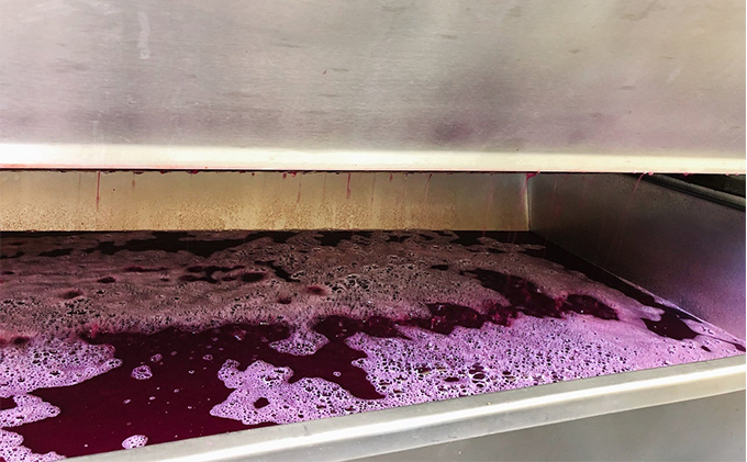 是里 ワイン TSUCHINARO ROSE 3本 セット ワイン ぶどう 葡萄 お酒 果実酒 洋酒 岡山 赤磐市 