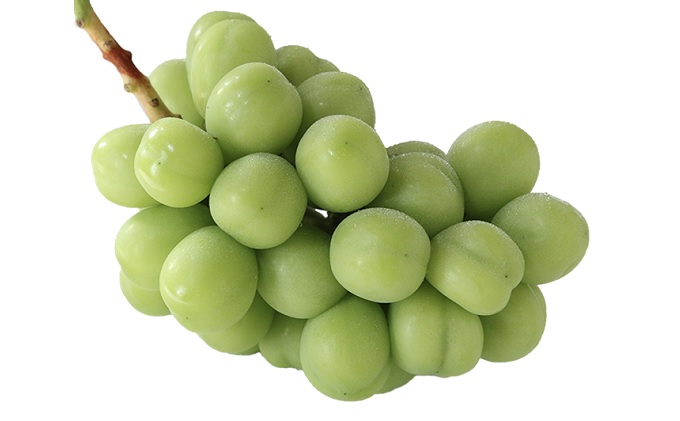 ぶどう 2026年 先行予約 シャインマスカット 晴王 2房（1房550g以上） シャイン マスカット ブドウ 葡萄 岡山県産 国産 フルーツ 果物 ギフト桃茂実苑 果物類 