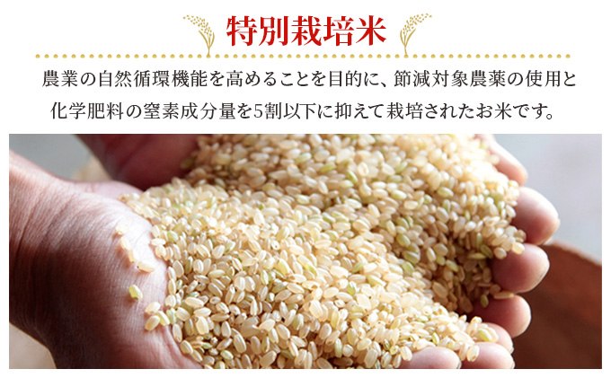 特別栽培米 ひのひかり 5kg×1袋 米 白米 岡山県産 ファーム安井