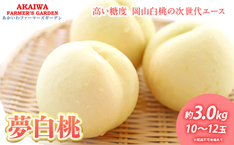 桃 2025年 先行予約 おかやま 夢 白桃 約3.0kg 10～12玉 もも 岡山県 赤磐市産 フルーツ 果物 あかいわファーマーズガーデン デザート 旬の果物 旬のフルーツ