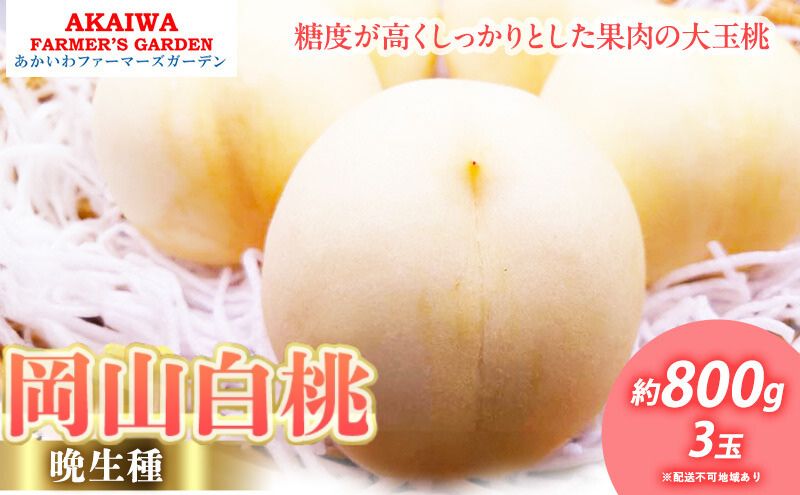 桃 2025年 先行予約 岡山の 白桃（晩生種）約800g 3玉 もも 岡山県 赤磐市産 フルーツ 果物 あかいわファーマーズガーデン デザート 旬の果物 旬のフルーツ
