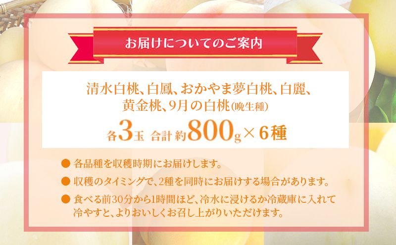 桃 2025年 先行予約 食べ比べ 各3玉 合計約800g×6種 もも 岡山県 赤磐市産 フルーツ 果物 あかいわファーマーズガーデン デザート 旬の果物 旬のフルーツ 