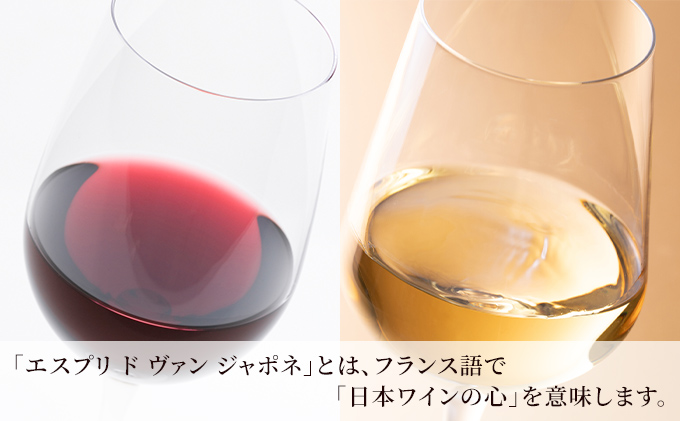 ワイン グランポレール エスプリ ド ヴァン ジャポネ 絢 -AYA-、泉 -SEN- 赤・白 2本セット（各1本 720ml）赤ワイン 白ワイン サッポロビール 岡山ワイナリー