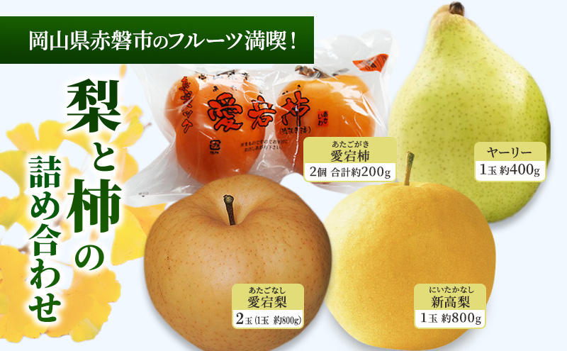 梨 柿 2025年 岡山県赤磐市 フルーツ満喫！ 愛宕梨・新高梨・ヤーリー・愛宕柿 詰め合わせ なし かき 果物