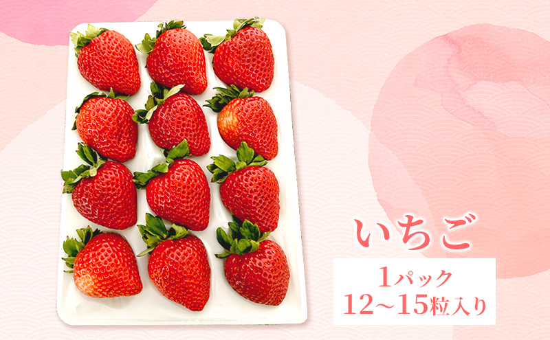 いちご 2025年 先行予約 題府さんが育てた もぎたていちご 1パック 12～15粒入り 岡山県 赤磐市 赤坂産 イチゴ 苺 果物 フルーツ