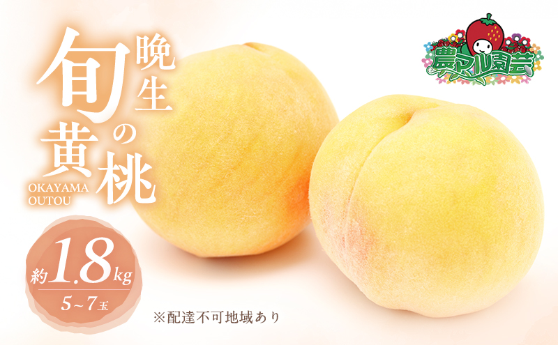 桃 2026年 先行予約 晩生の旬の 黄桃 約1.8kg 5～7玉 進物用 もも フルーツ 果物 岡山 赤磐市産 農マル園芸あかいわ農園