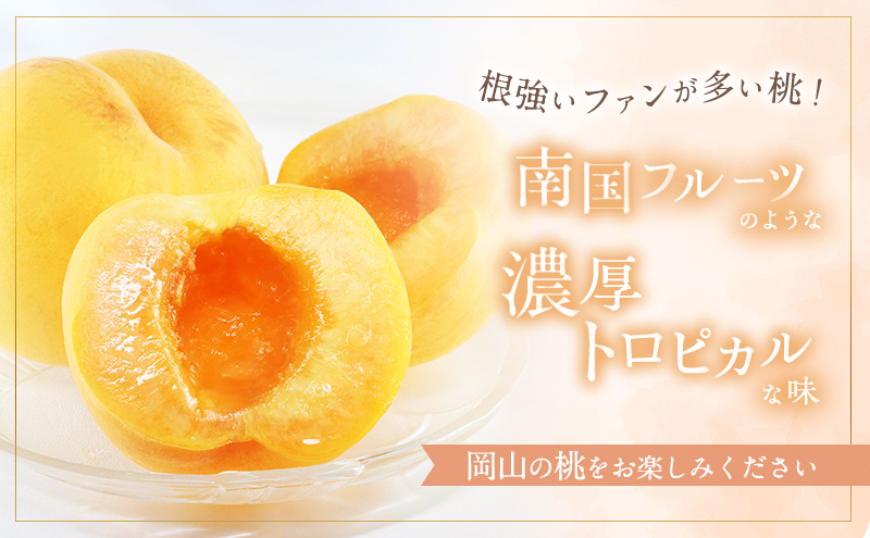 ふるさと納税 岡山県 瀬戸内市 桃 2024年 先行予約 清水 白桃 6玉 （1玉300g以上） 等級：ロイヤル 化粧箱入り もも モモ 岡山県産 国産 フルーツ 果物 ギフト… ふるさと納税 桃 2024年 先行予約 ご家庭用 おかやま の 黄金桃 約1.3