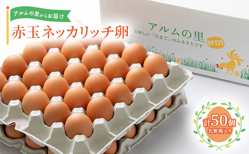 卵 赤玉 ネッカリッチ卵 50個入り 鶏卵 たまご