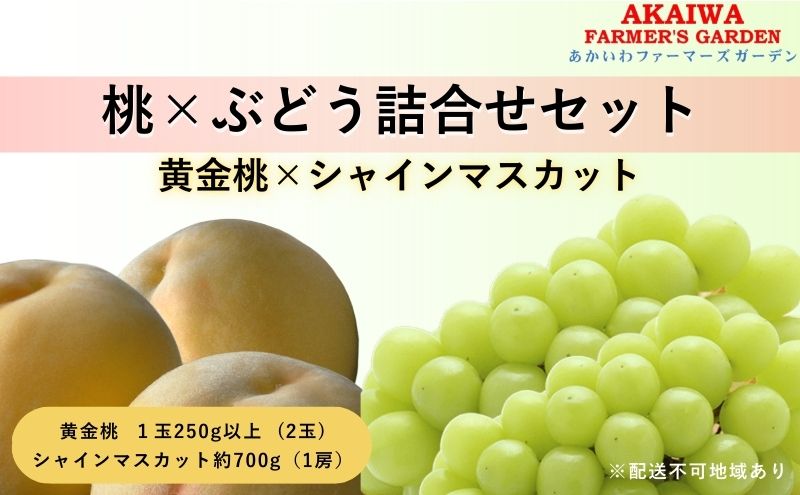 桃 ぶどう 詰合せ 2025年 先行予約 黄金 桃 2玉（1玉250g以上） シャイン マスカット 1房 約700g 岡山県 赤磐市産 フルーツ 果物 あかいわファーマーズガーデン