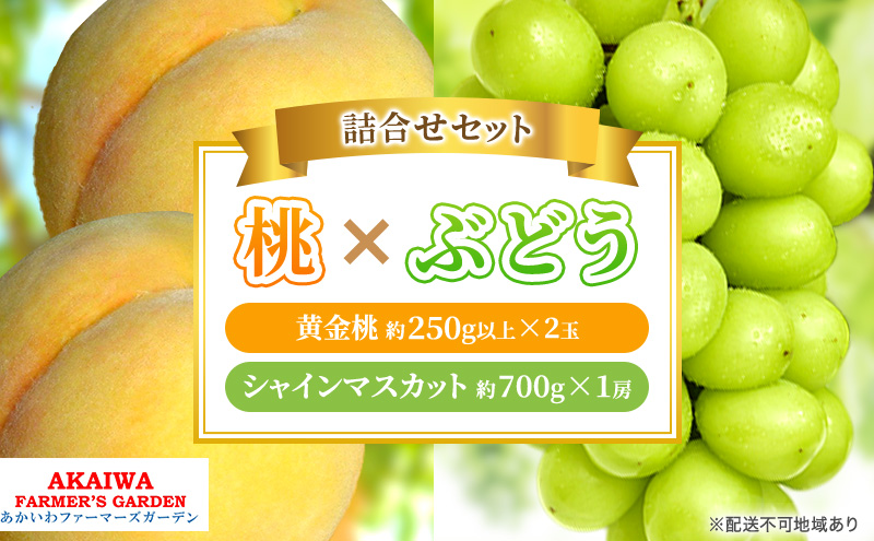 桃 ぶどう 詰合せ 2025年 先行予約 黄金 桃 2玉（1玉250g以上） シャイン マスカット 1房 約700g 岡山県 赤磐市産 フルーツ 果物 あかいわファーマーズガーデン