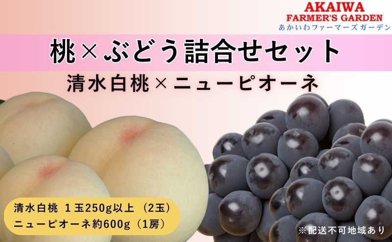 桃 ぶどう 詰合せ 2025年 先行予約 清水 白桃 2玉（1玉250g以上） ニュー ピオーネ 1房 約600g 岡山県 赤磐市産 フルーツ 果物 あかいわファーマーズガーデン