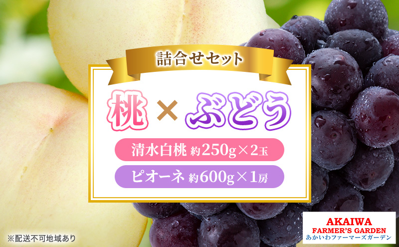 桃 ぶどう 詰合せ 2025年 先行予約 清水 白桃 2玉（1玉250g以上） ニュー ピオーネ 1房 約600g 岡山県 赤磐市産 フルーツ 果物 あかいわファーマーズガーデン