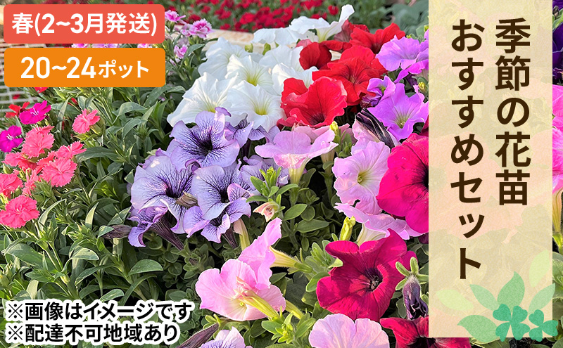 春 の 花苗 おすすめ セット 20～24ポット(4～6月発送)  ガーデニング 園芸 お花 花 フラワー
