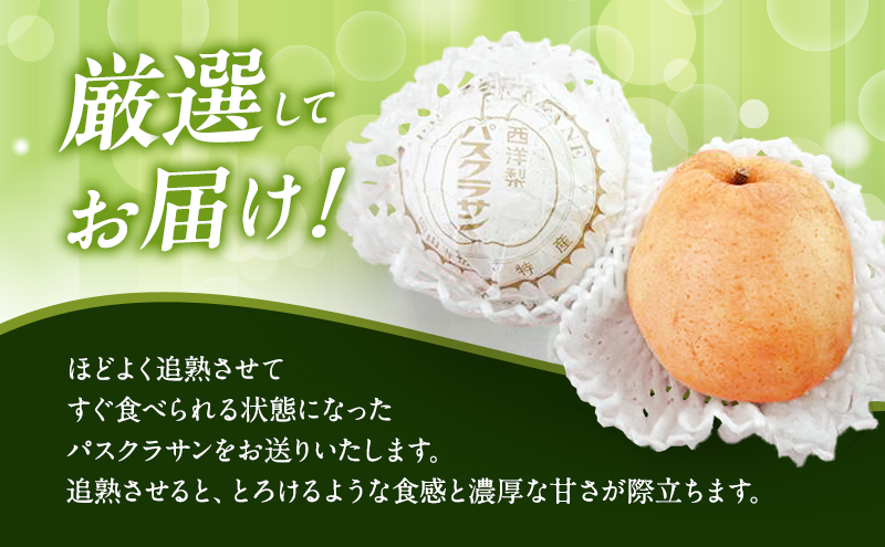 梚 2024幎 ãã¹ã¯ã©ãµã³ 4çå
¥ãïŒè¥¿æŽæ¢šïŒ 岡山ç èµ€ç£åžèµ€åç£ ãªã ãã«ãŒã æç©