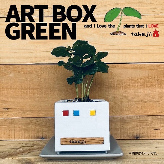 インテリア ART BOX GREEN / 002(□） アートボックス 観葉植物 多肉植物 岡山 赤磐市  takejii craft