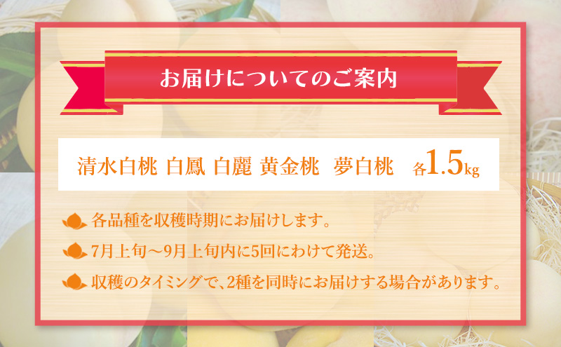 桃 2025年 先行予約 食べ比べ  約1.5kg×5種 もも 岡山県 赤磐市産 フルーツ 果物 あかいわファーマーズガーデン