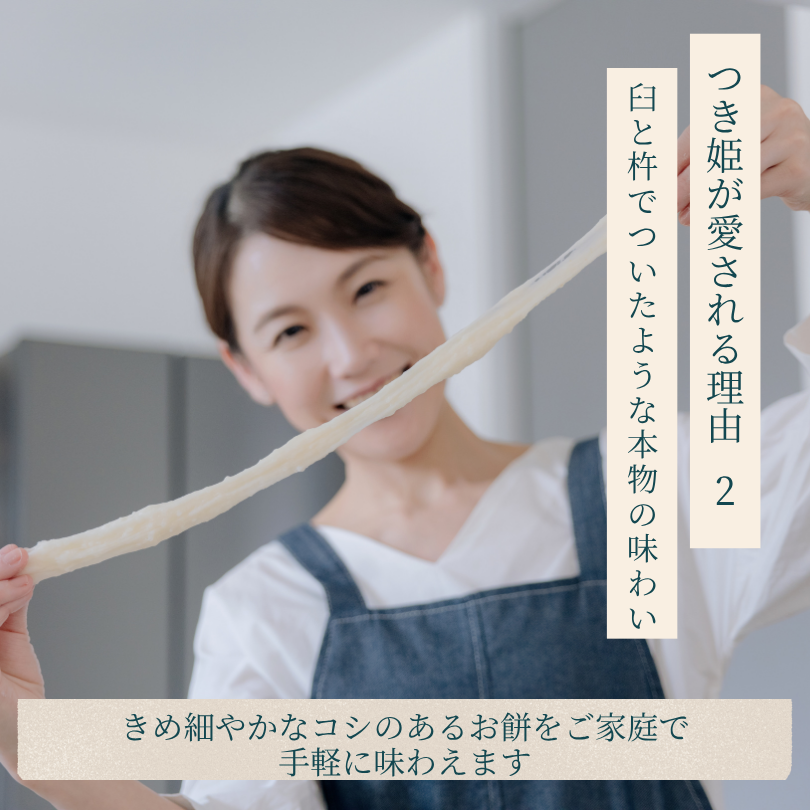 みのる産業 3合餅つき機 つき姫 リッチブラック 餅つき機 ブラック