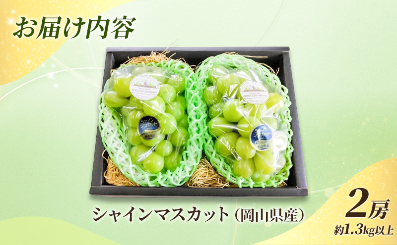 ぶどう 2026年 先行予約 贈答用 岡山県産 シャインマスカット 2房 約1.3kg以上 