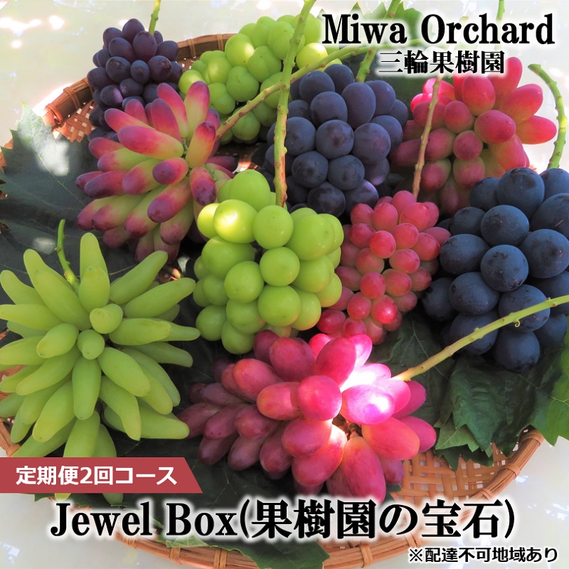 ぶどう 2026年 先行予約 ジュエルボックス 皮ごと食べることのできる 葡萄 4～5品種 詰合せ 約2kg 定期便 2回 コース ブドウ 葡萄 岡山県 赤磐市産 国産 フルーツ 果物 ギフト 三輪果樹園 岡山のぶどう 食べ比べ