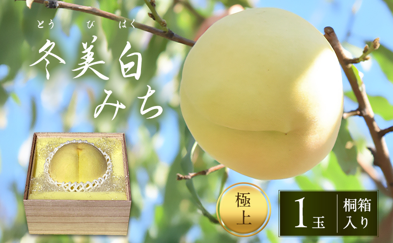 桃 2025年 先行予約 白桃 冬美白 とうびはく 極上1玉 「みち」  桐箱入り もも モモ 令和7年 岡山 赤磐市産 国産 フルーツ 果物 ギフト 果肉 しっかり 柔らかい 食感 大変貴重 高糖度 栽培方法