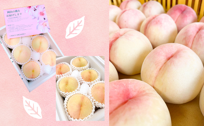桃 【訳あり 2級品】 2026年 先行予約 岡山の桃 8月の桃 2～3品種 詰め合わせ セット 5～7玉入り 約1.5kg  MIKI’S ORCHARD  もも モモ 果物 岡山 家庭用