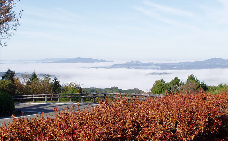 赤磐市 吉井竜天オートキャンプ場（ 広場サイト 利用券 ） キャンプ アウトドア 旅行 キャンプ場 宿泊券