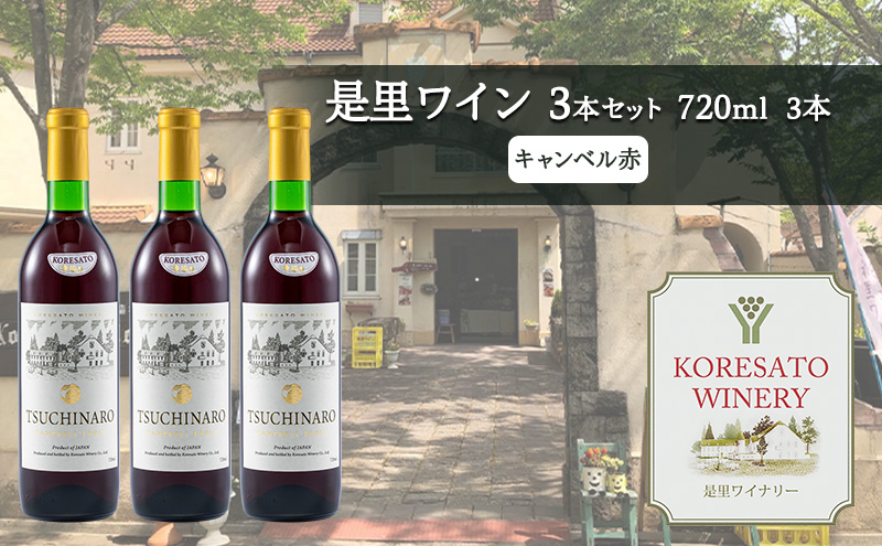 是里 ワイン 果実酒 キャンベル赤 720ml 3本 岡山 赤磐市 お酒