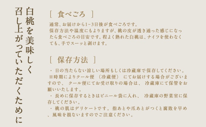 桃 ぶどう 2026年 先行予約 岡山県産 シャインマスカット 大房 1房 白桃 2玉 詰合せ 合計約1.3kg  赤磐市産 フルーツ 果物 ギフト デザート