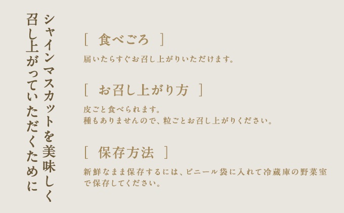 桃 ぶどう 2026年 先行予約 岡山県産 シャインマスカット 大房 1房 白桃 2玉 詰合せ 合計約1.3kg  赤磐市産 フルーツ 果物 ギフト デザート
