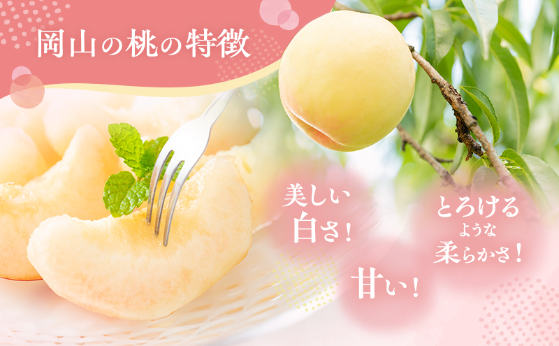 桃 2026年 先行予約 清水 白桃 約1.8kg 5～7玉 進物用 もも モモ フルーツ 果物 岡山 赤磐市産 農マル園芸 あかいわ農園 家庭用 