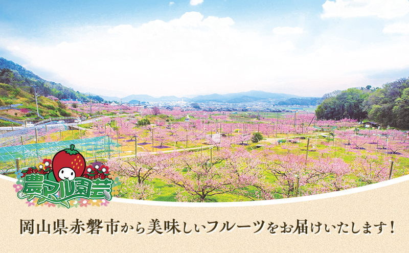 桃 2026年 先行予約 訳あり品 清水 白桃 約1.8kg 5～7玉 もも モモ フルーツ 果物 岡山 赤磐市産 農マル園芸 あかいわ農園 甘い 果肉 人気 