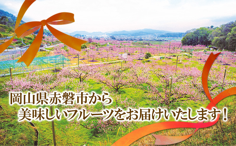 梨 2025年 新高梨（にいたかなし）オリジナルギフト箱 5玉入り（約4kg）赤磐市赤坂産 なし フルーツ 果物 