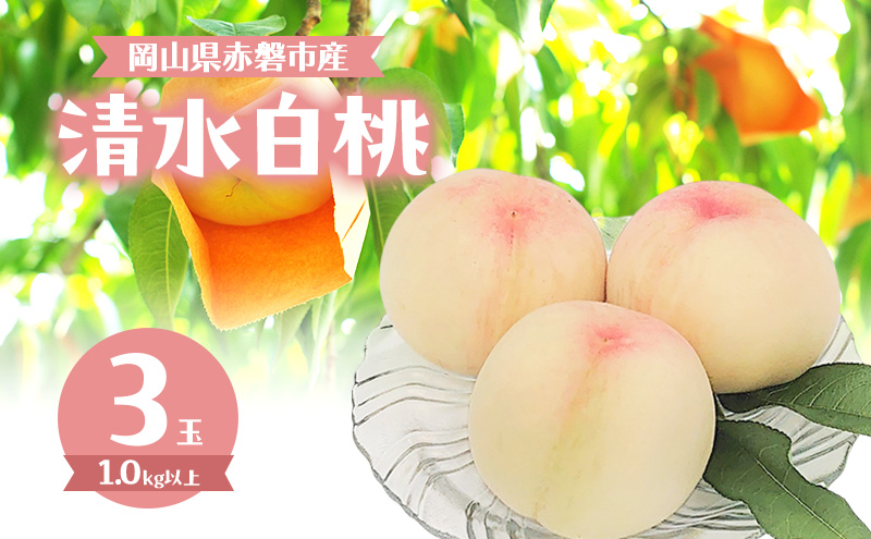 桃 2026年 数量限定 清水白桃 3玉 計1.0kg以上 岡山県 赤磐市産