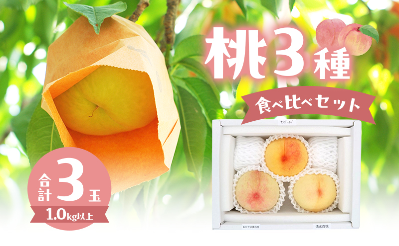 桃 2026年 数量限定 桃3種食べ比べセット 3種×各1玉 計1.0kg以上 岡山県 赤磐市産
