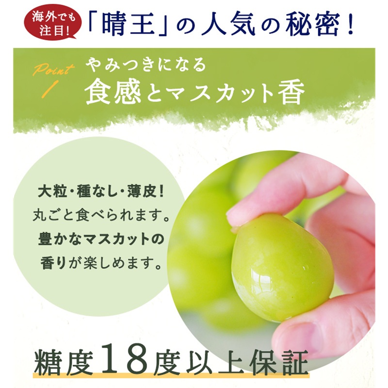 桃 ぶどう 2026年 先行予約 岡山白桃 2玉 シャインマスカット 晴王 1房 詰め合わせ セット 岡山県 赤磐市産 果物 フルーツ 白桃 葡萄