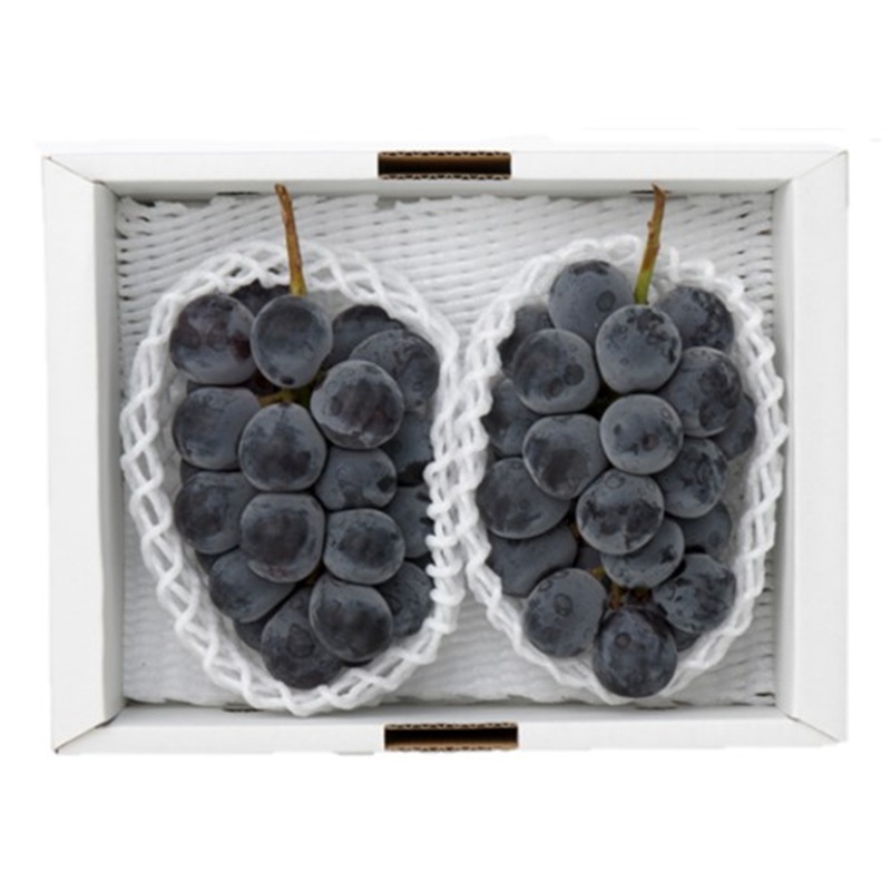 ぶどう 2026年 先行予約 ピオーネ 2房 1房約480g 化粧箱入り 岡山県 赤磐市産 果物 フルーツ 葡萄 ブドウ