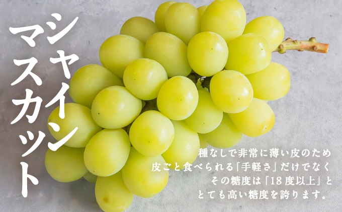 ãèãšãã«ãŒã å®æäŸ¿ 3å ã³ãŒã¹ 2026幎 å
è¡äºçŽ æ¡ ãã ã¢ã¢ ã¶ã©ã è¡è ãã㊠ã·ã£ã€ã³ãã¹ã«ãã æç© ãã«ãŒã ãªãããŒã è ãè çè ç åç åœç£ 岡山 èµ€ç£åž