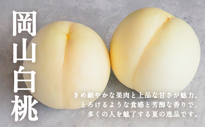 ãèãšãã«ãŒã å®æäŸ¿ 5å ã³ãŒã¹ 2026幎 å
è¡äºçŽ æ¡ ãã ã¢ã¢ ã¶ã©ã è¡è ãã㊠ã·ã£ã€ã³ãã¹ã«ãã æç© ãã«ãŒã ãªãããŒã è ãè çè ç åç åœç£ 岡山 èµ€ç£åž