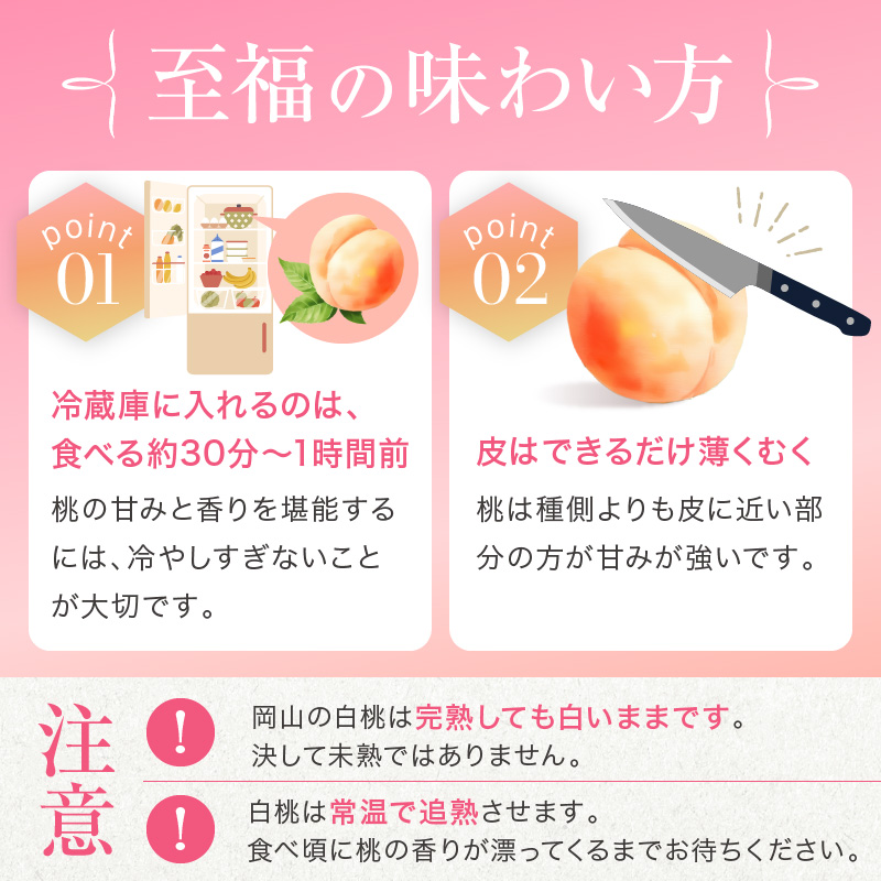 桃 2026年 先行予約 赤磐の 白桃 約1.5kg 5～7玉 JA晴れの国 糖度センサー選果 もも モモ 岡山県 赤磐市産 国産 フルーツ 果物 ギフト デザート 果肉 