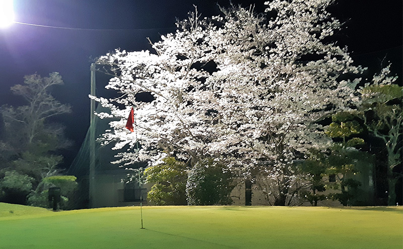 ゴルフ ショートホール 18H ペア ご利用券 × うなぎ お食事券 (10,000円分) セット 赤磐市 コラボ 企画 みのるゴルフセンター山陽 味心逆瀬川 岡山県