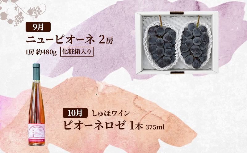 定期便 2026年 先行予約 是里ワイナリーのワインと岡山の人気果物 コンテスト 4回コース 桃 白桃 ワイン ぶどう ピオーネ  赤磐市