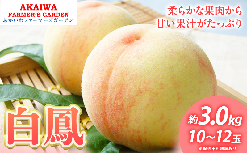 桃 2026年 先行予約 白桃 白鳳 約3.0kg 10～12玉 もも 岡山県 赤磐市産 フルーツ 果物 あかいわファーマーズガーデン 果物類