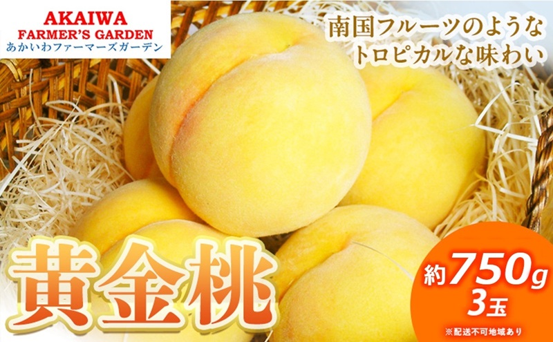 桃 2026年 先行予約 黄金桃 約750g 3玉 もも 岡山県 赤磐市産 フルーツ 果物 あかいわファーマーズガーデン 果物類