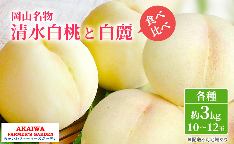 桃 2026年 先行予約 定期便 岡山名物 白桃 食べ比べ ！ 清水白桃 と 白麗 各約3.0kg 10～12玉 あかいわファーマーズガーデン 果物