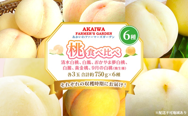 桃 2026年 先行予約 食べ比べ 各3玉 合計約750g×6種 もも 岡山県 赤磐市産 フルーツ 果物 あかいわファーマーズガーデン デザート 旬の果物 旬のフルーツ