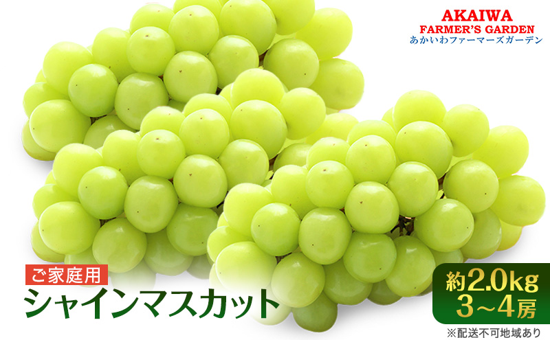 ぶどう 2026年 先行予約 ご家庭用 シャインマスカット 約2.0kg 3～4房 葡萄 フルーツ 果物 岡山 赤磐市産 あかいわファーマーズガーデン 人気 皮ごと 種無し 甘い