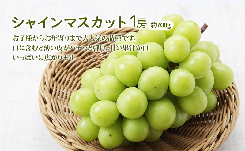 桃 ぶどう 詰合せ 2026年 先行予約 おかやま 夢 白桃 2玉（1玉250g以上） シャイン マスカット 1房 約700g 岡山県 赤磐市産 フルーツ 果物 あかいわファーマーズガーデン