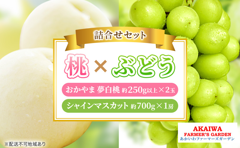桃 ぶどう 詰合せ 2026年 先行予約 おかやま 夢 白桃 2玉（1玉250g以上） シャイン マスカット 1房 約700g 岡山県 赤磐市産 フルーツ 果物 あかいわファーマーズガーデン